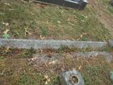 image of grave number 738010